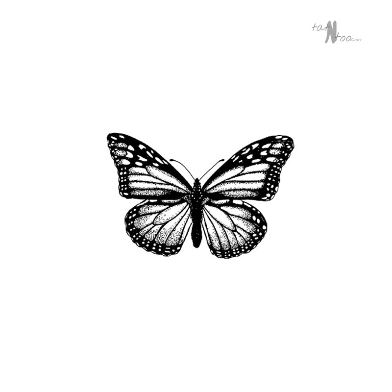 A butterfly